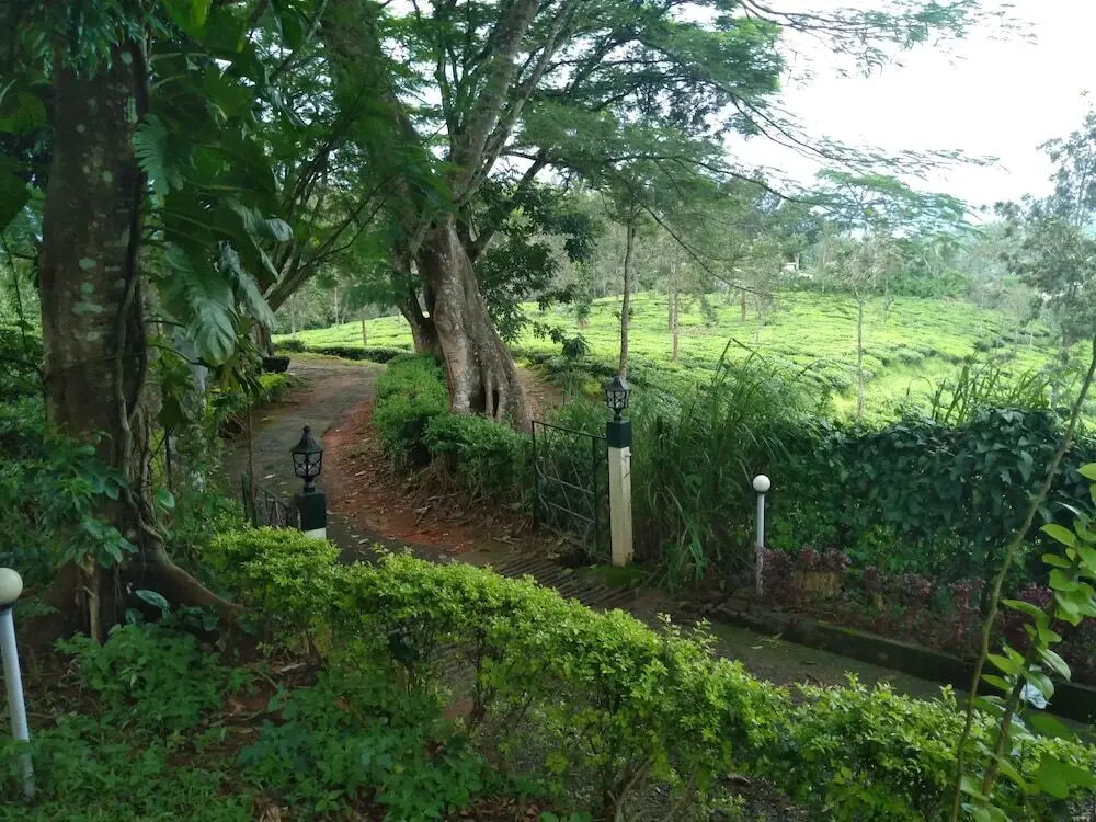 Султан-Батери: Standard Double Room-wayanad