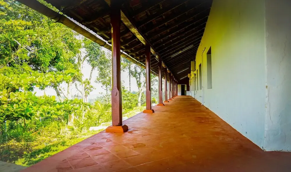 Standard Double Room-wayanad — фото 1