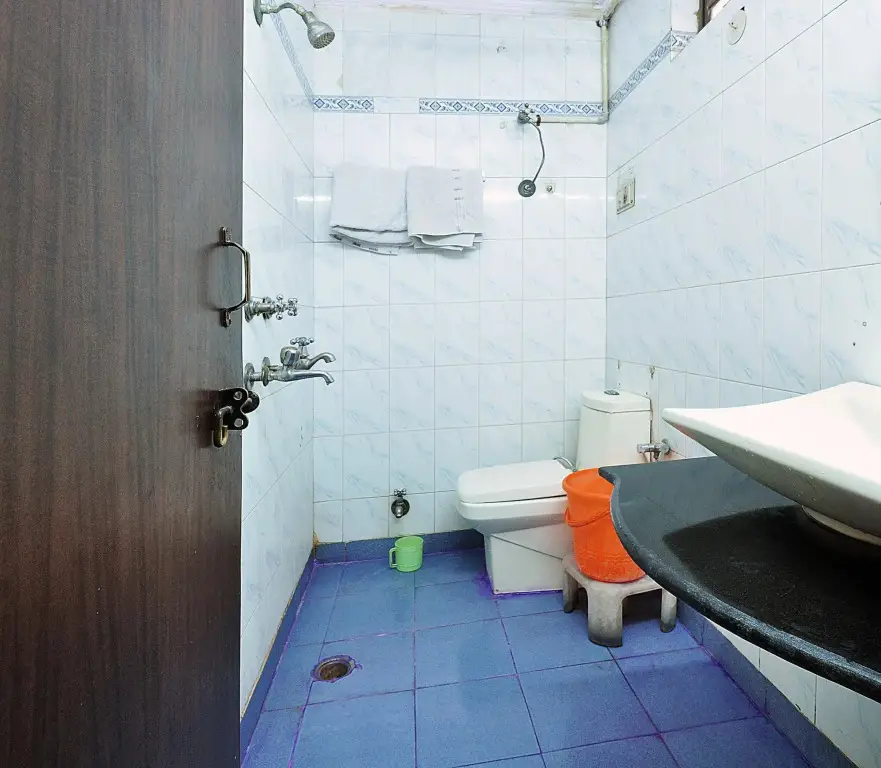Нью-Дели: Hotel Shiva intercontinental
