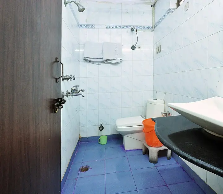 Нью-Дели: Hotel Shiva intercontinental