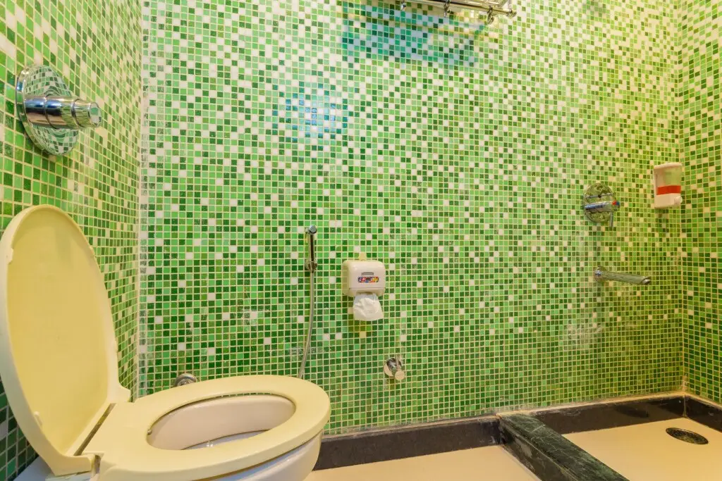 Катра: Ginger Hotel Katra
