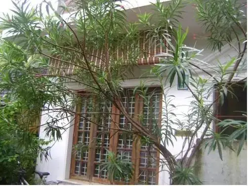 Коччи: Johnson Homestay