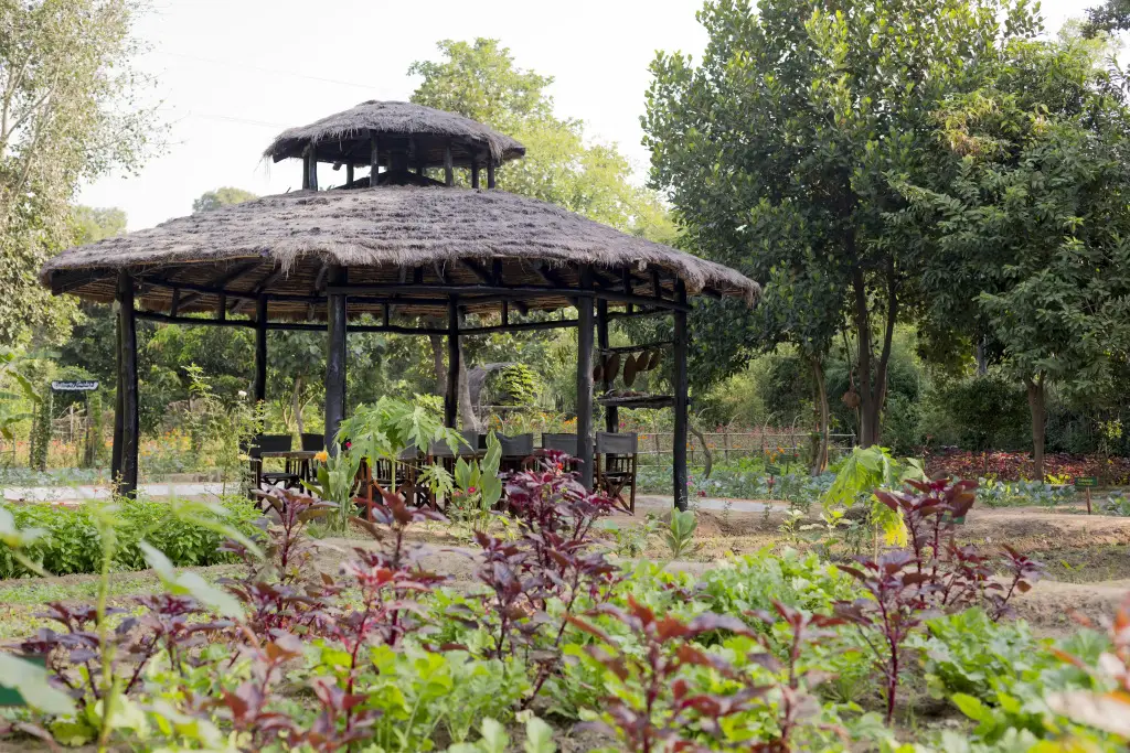 Панпата: Kings Lodge