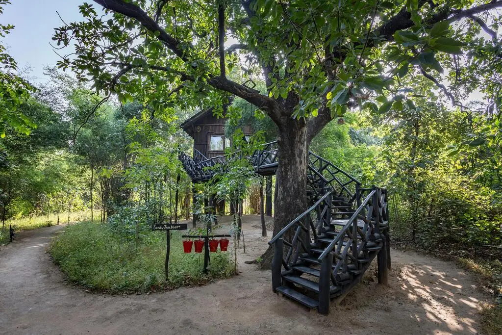 Панпата: Pugdundee Safaris- Tree House Hideaway