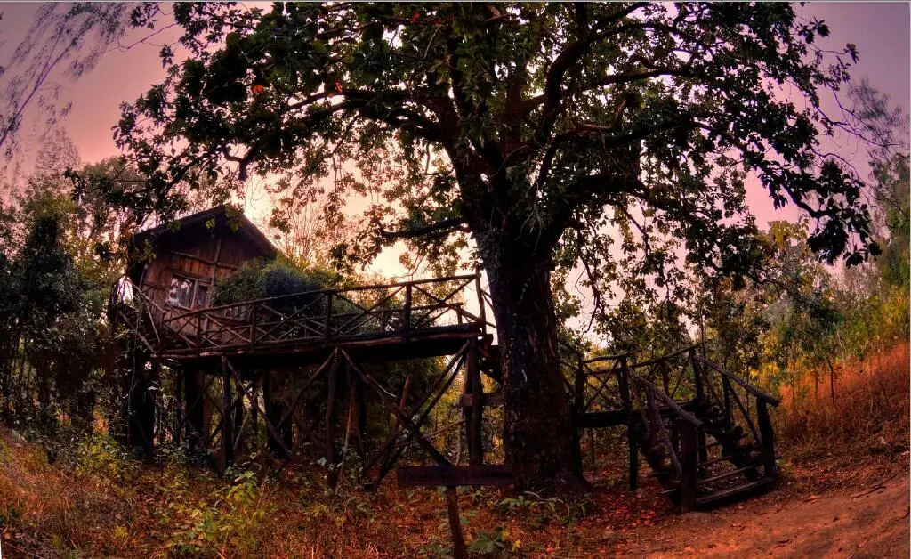 Панпата: Pugdundee Safaris- Tree House Hideaway