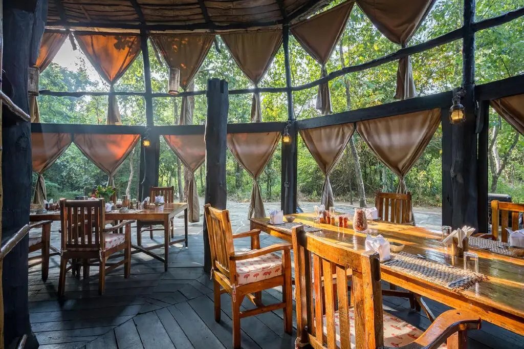 Pugdundee Safaris- Tree House Hideaway — фото 1