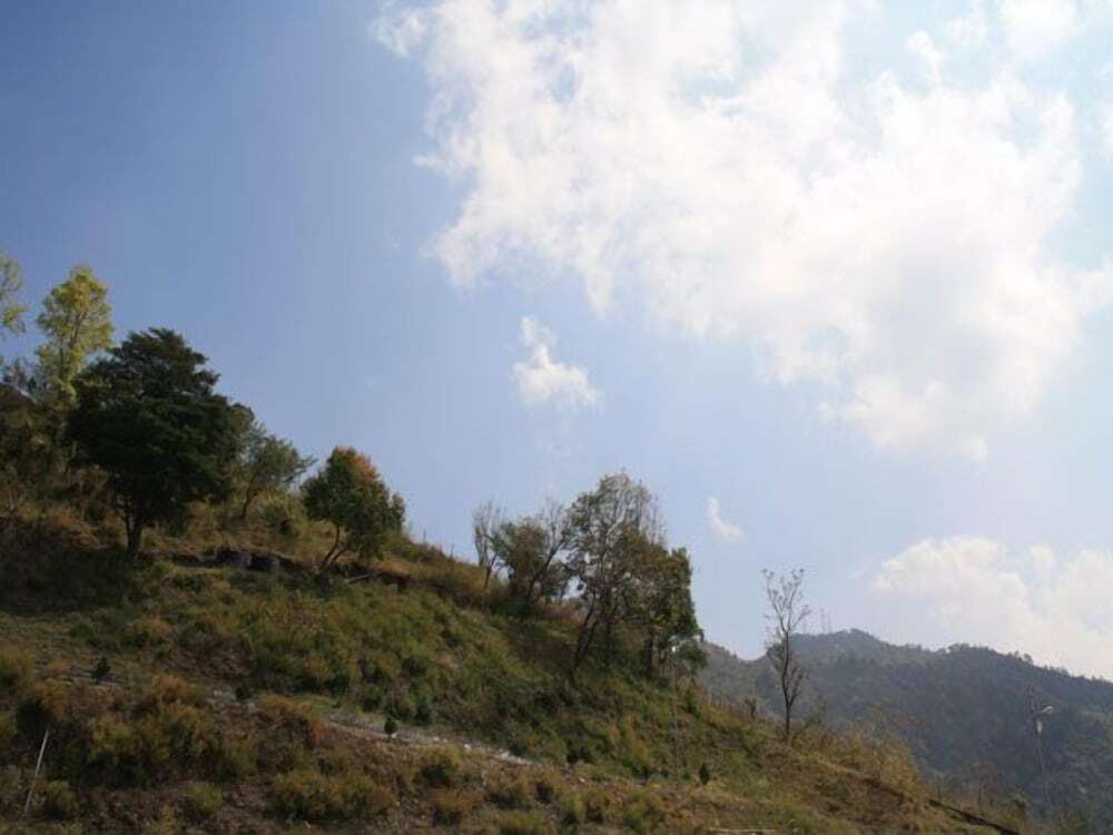 Наинитал: United 21 Nature Paradise
