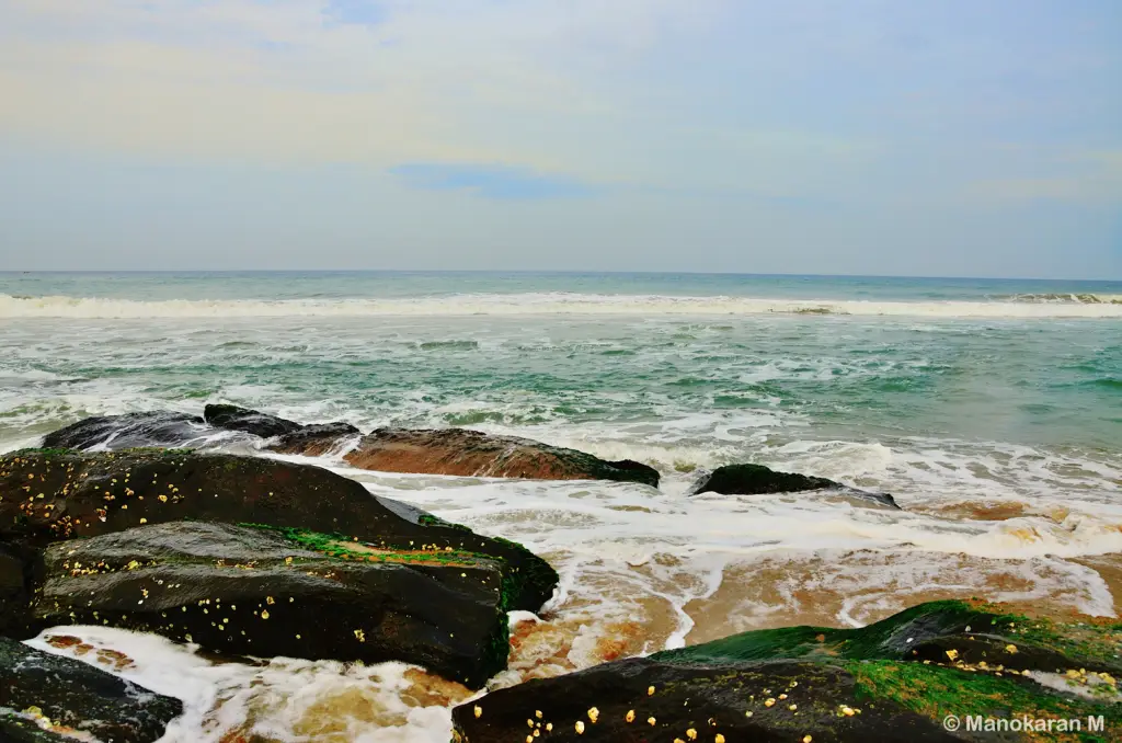 Ковалам: Newton Neelakanta Boutique – Kovalam