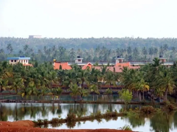 Коллам: United 21 Island Paradise