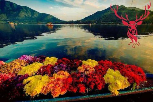 Шринагар: Shabistan Group of Houseboats