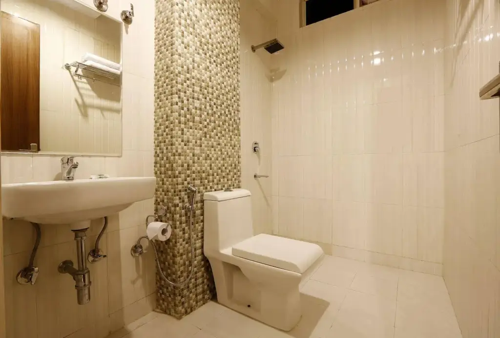 Нью-Дели: Airport Hotel Chanakya