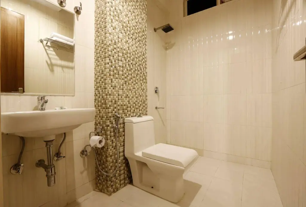 Нью-Дели: Airport Hotel Chanakya