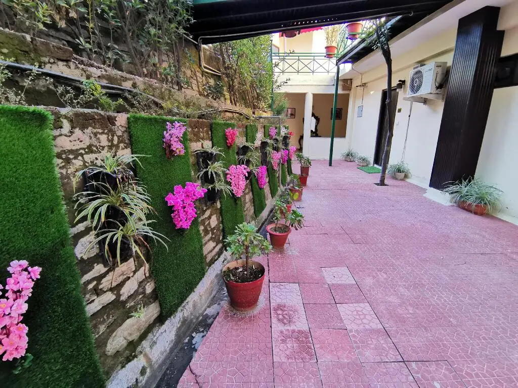 Куфри: Maple Resort Chail