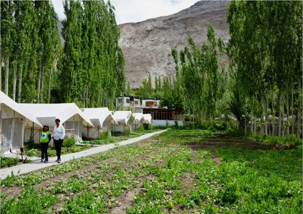 Лех: TIH Mystique Meadows Camp