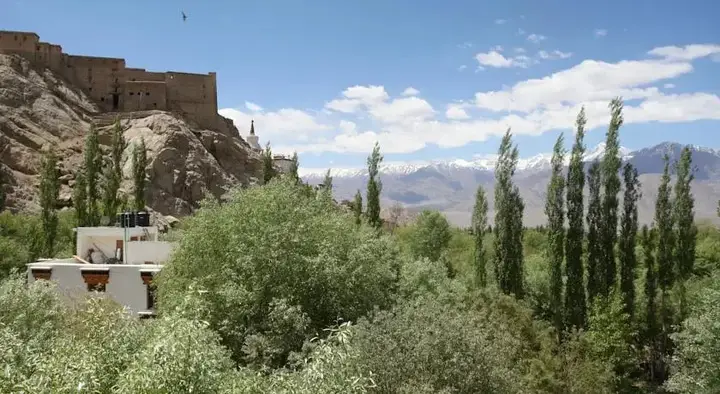 Лех: The Hotel Himalaya Leh
