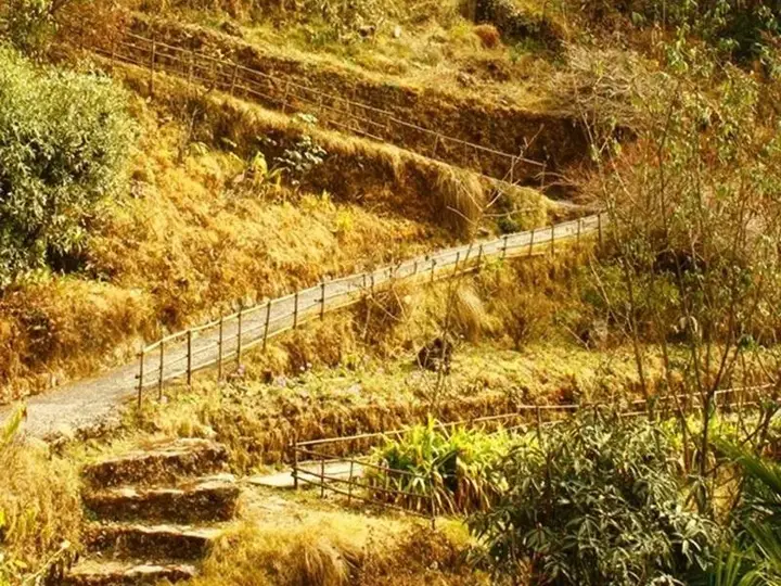 Дарджилинг: Rhododendron Dell Exoctic Resort - Darjeeling