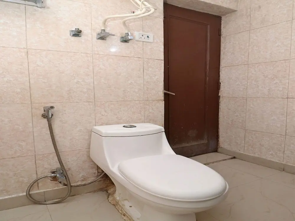 Нью-Дели: Hotel Mahajan Palace
