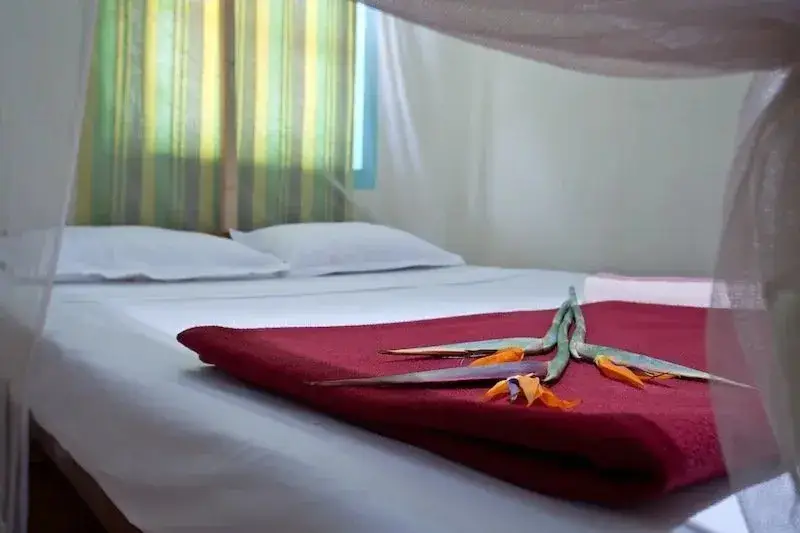 Мандрем: Shiva Mandrem Resort