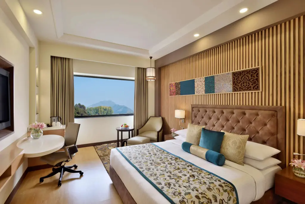 Шринагар: Radisson Srinagar