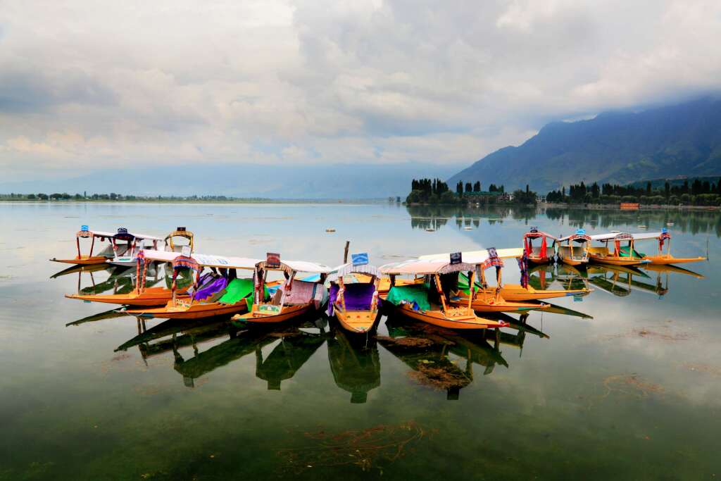 Шринагар: Radisson Srinagar