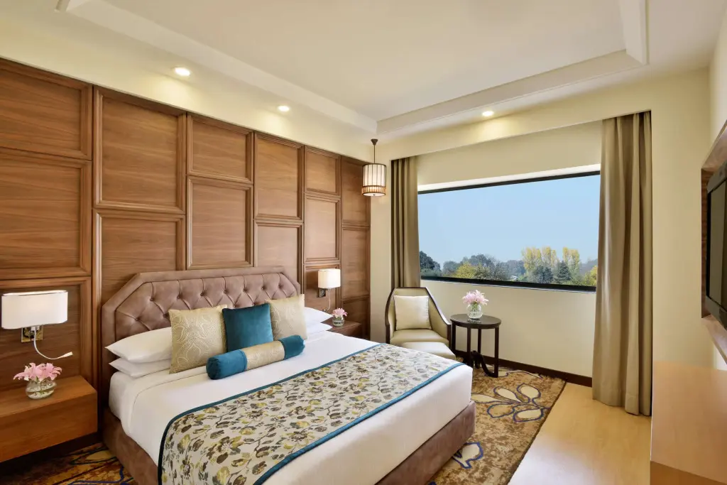 Шринагар: Radisson Srinagar