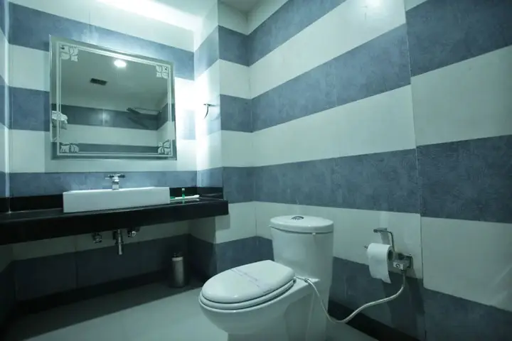 Шринагар: Hotel Grand Mumtaz Towers