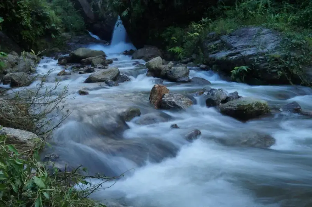Пеллинг: Tathagata Farm