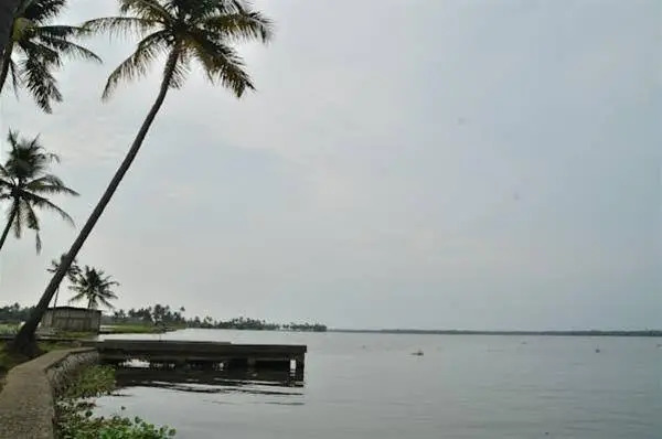 Коччи: Narikulam Tharavad