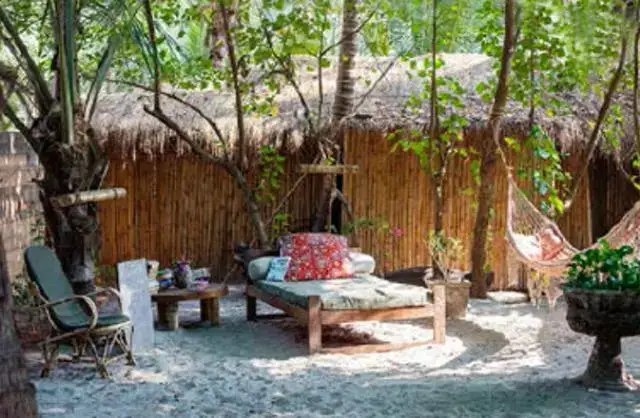 Ашвем: Little Palm Grove