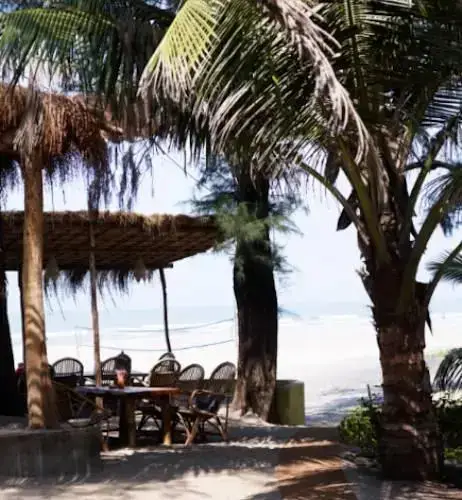 Ашвем: Little Palm Grove
