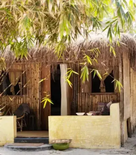 Ашвем: Little Palm Grove