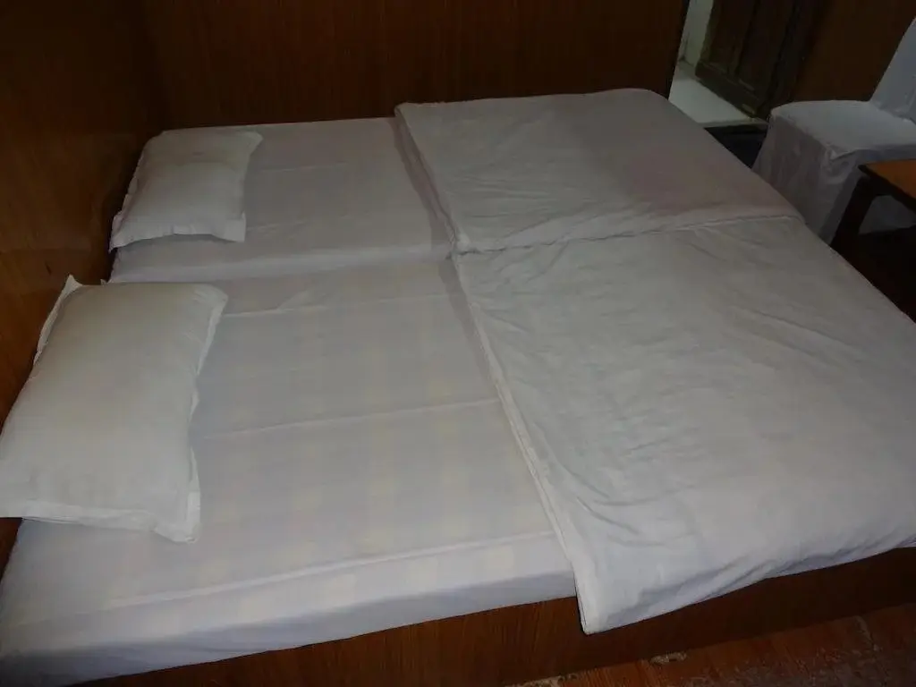 Бхопал: Hotel Hilton Palace
