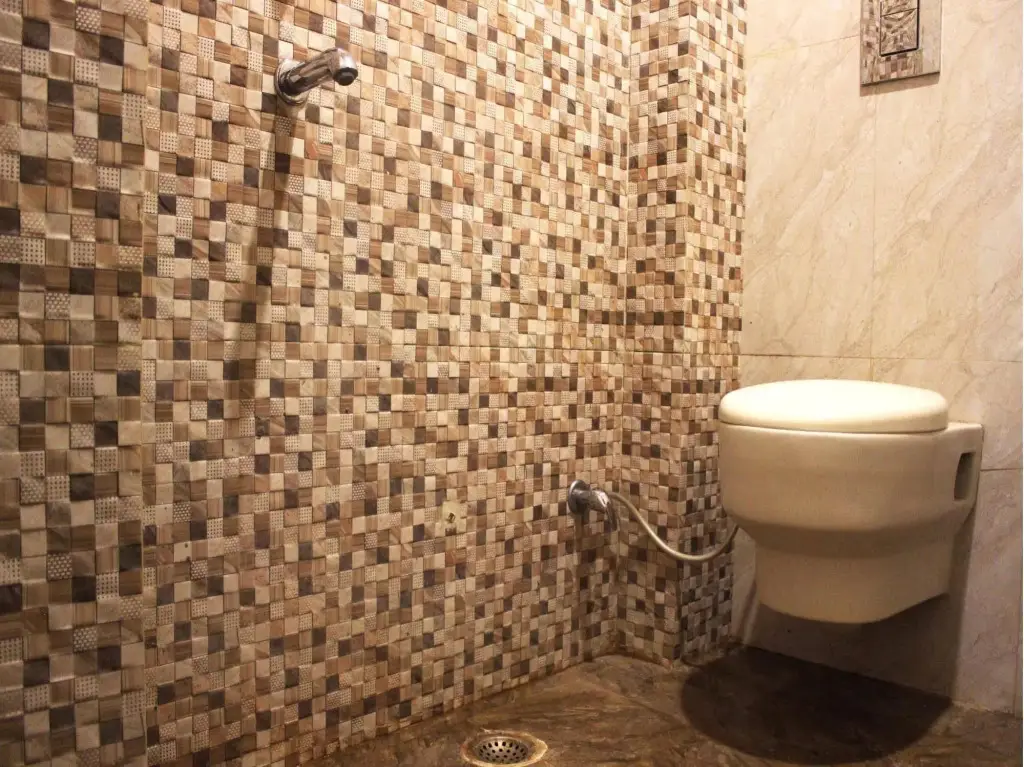 Нью-Дели: Hotel Hindustan International