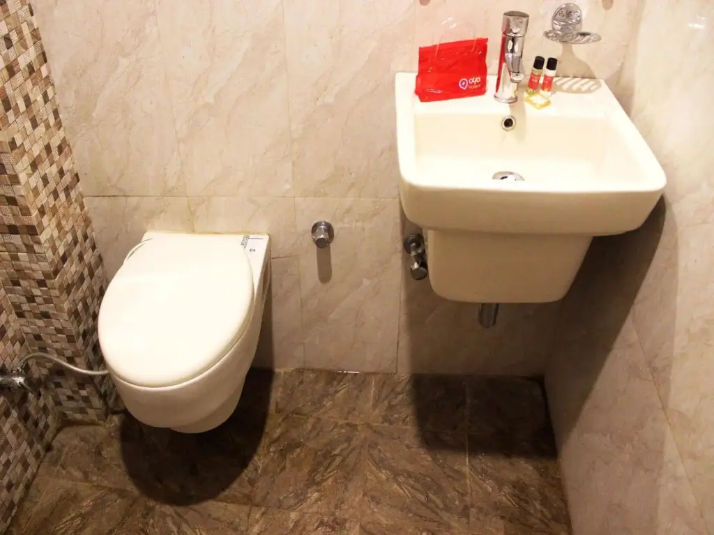 Нью-Дели: Hotel Hindustan International