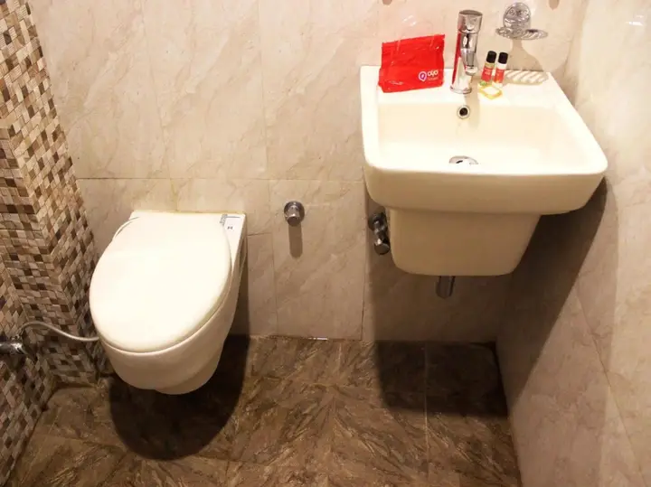 Нью-Дели: Hotel Hindustan International
