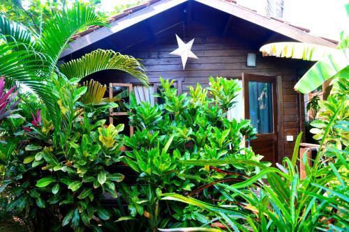Бенаулим: Pele's Windsong Wood Cottage on the beach