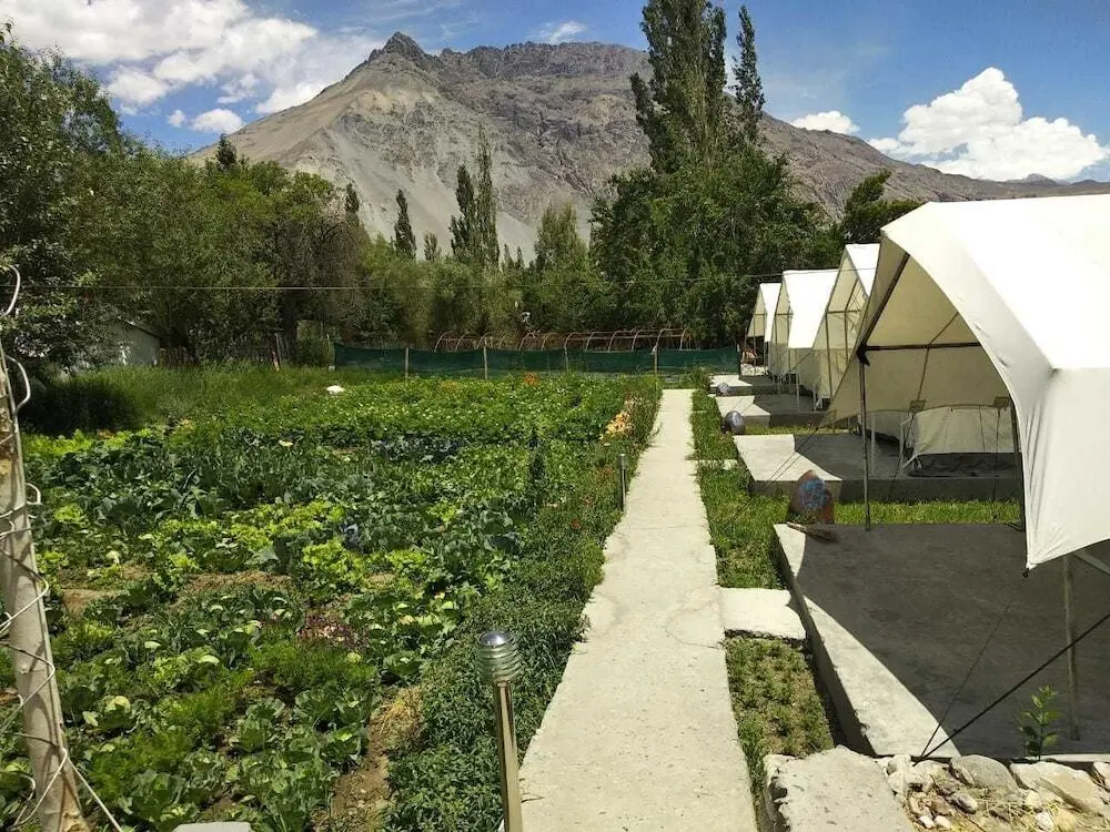 Лех: Apple Cottage Nubra - Glamping