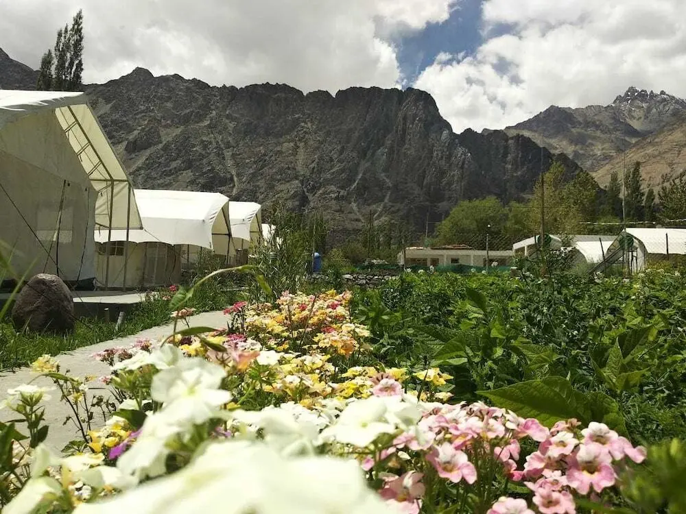 Лех: Apple Cottage Nubra - Glamping