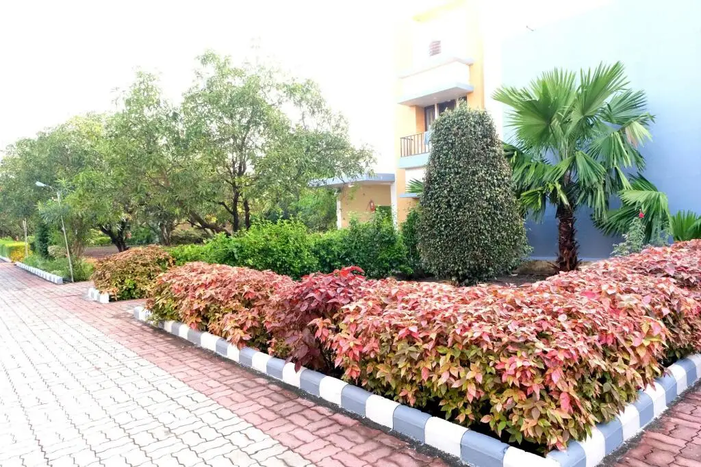 Сазан: Sukh Sagar Gir Resort