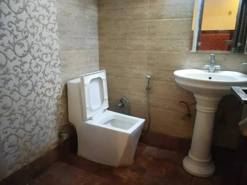 Нью-Дели: Hotel Indo continental