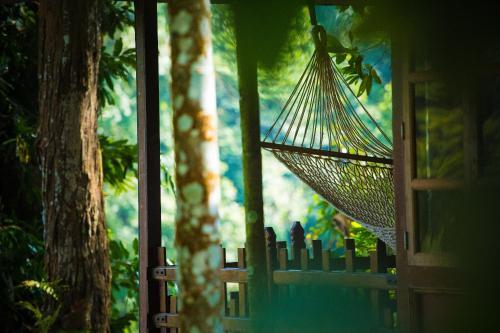 Шиккамагалуру: Shanthi Kunnj Homestay