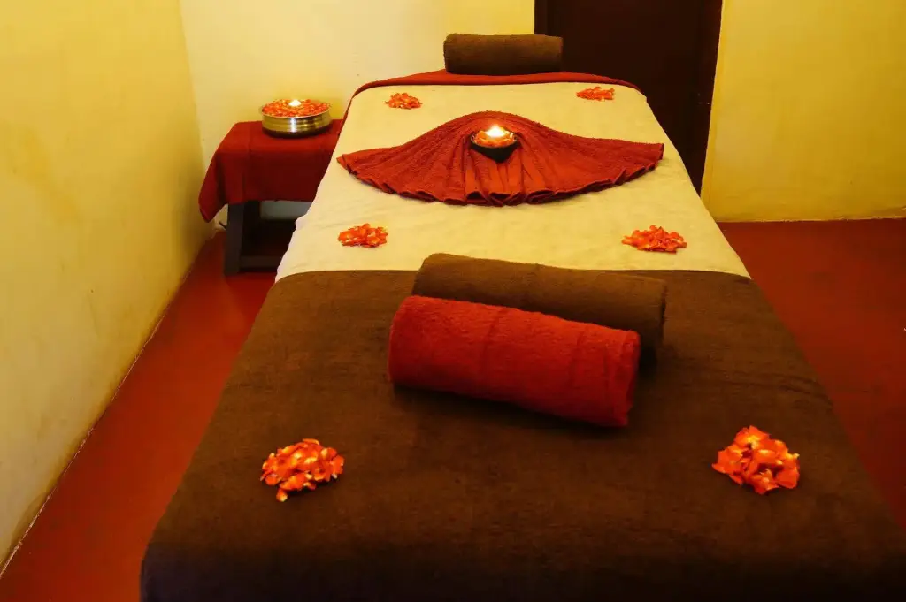 Даворлим: Dudhsagar Spa Resort