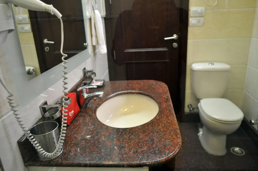 Нью-Дели: Tree of Life Bed & Breakfast