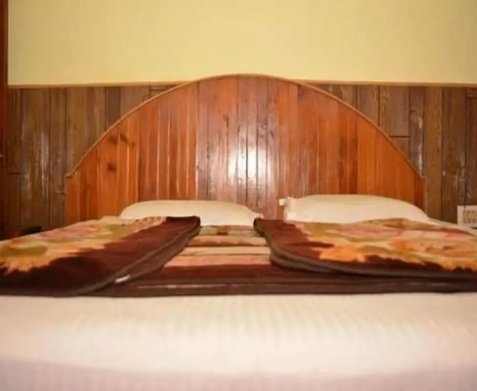 Манали: Hotel Tashila - Manali