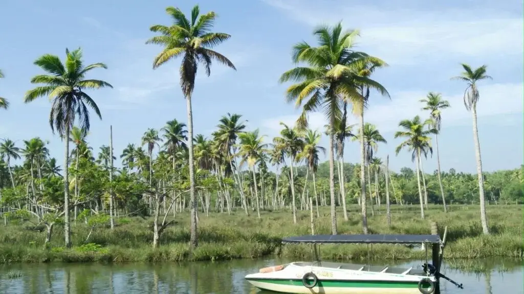Пувар: Kayaloram resort