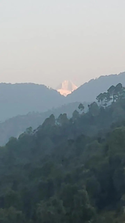 Bageshwar: Dhamot HomeStay