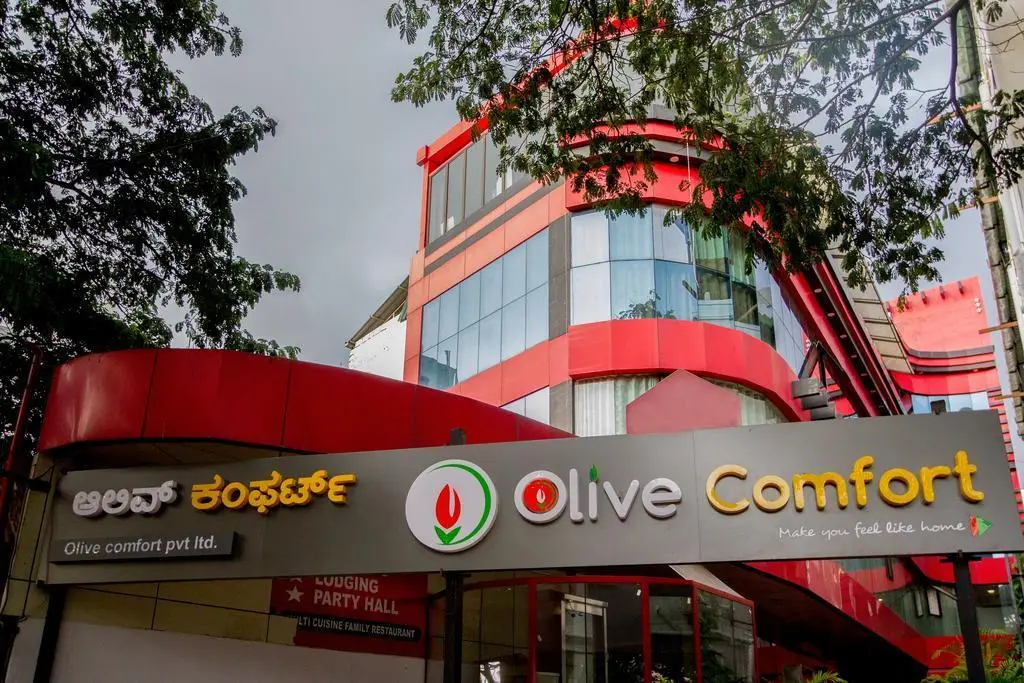 Майсур: Olive Comfort