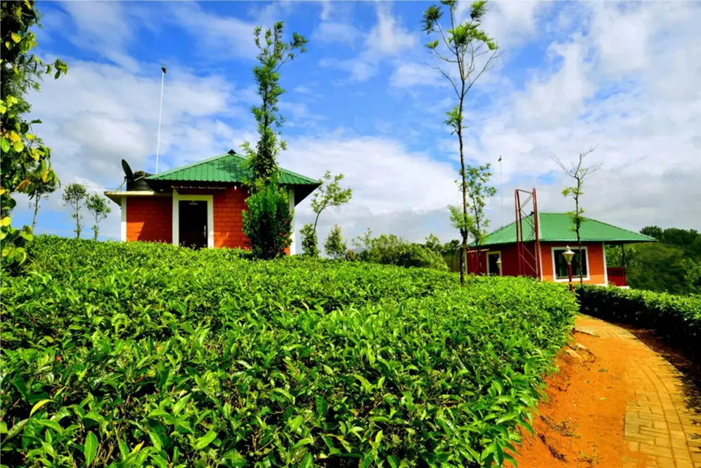Куттикканам: Green Hill Estate