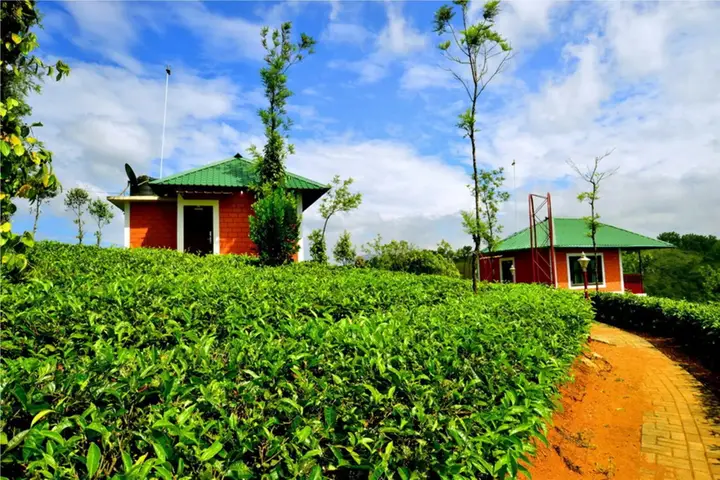 Куттикканам: Green Hill Estate