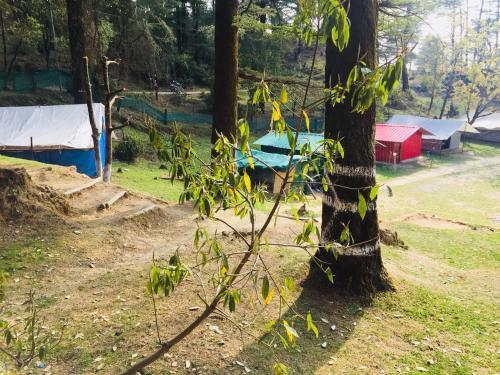Northern Adventure Camp & Cottages — фото 1
